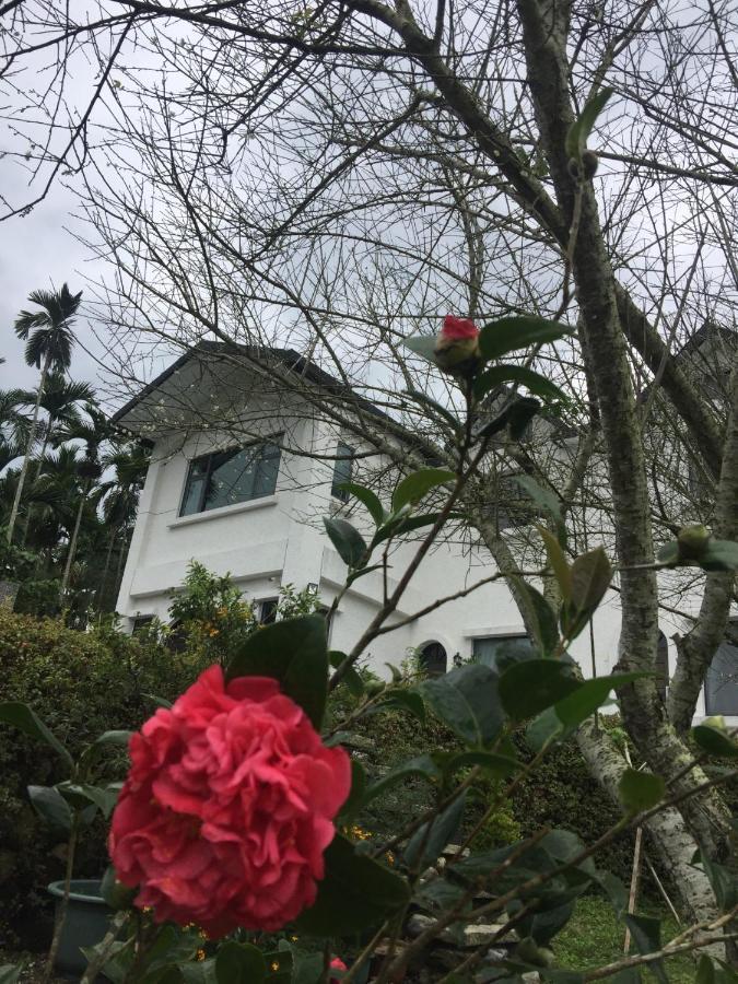 Wuju Wusu B&B Wenlan Luaran gambar